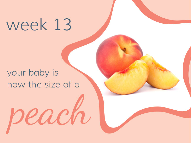 Week 13 - Your baby is now the size of a peach.