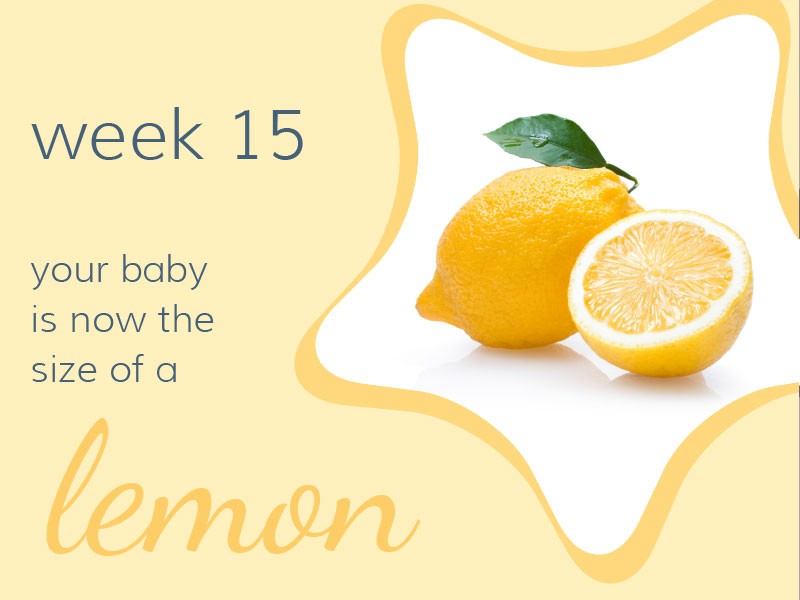 Week 15 - Your baby is now the size of a lemon